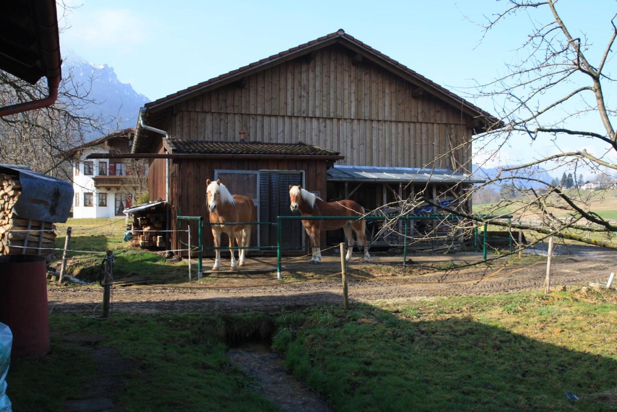 Bachbauernhof * Bayerisch Gmain