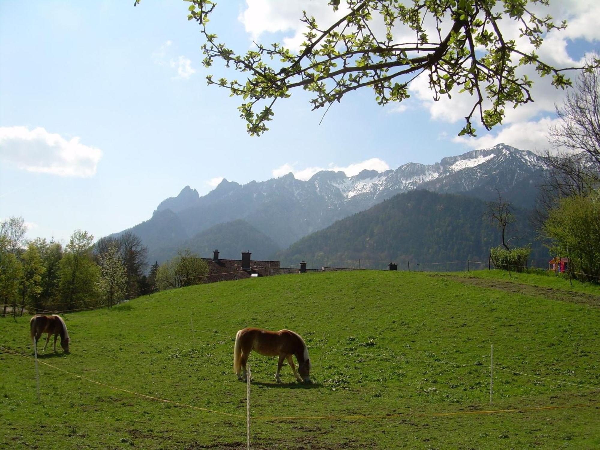 Apartamento Bachbauernhof